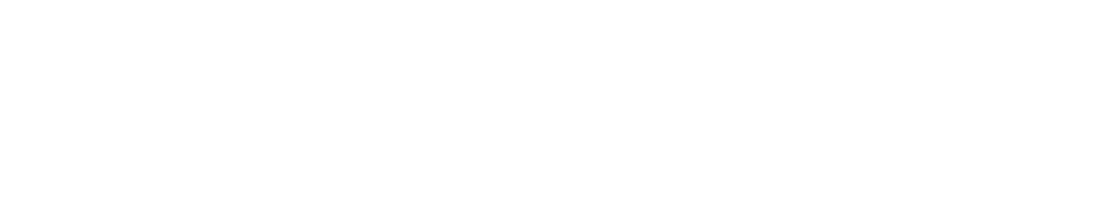 wordmark-white-transparent.png